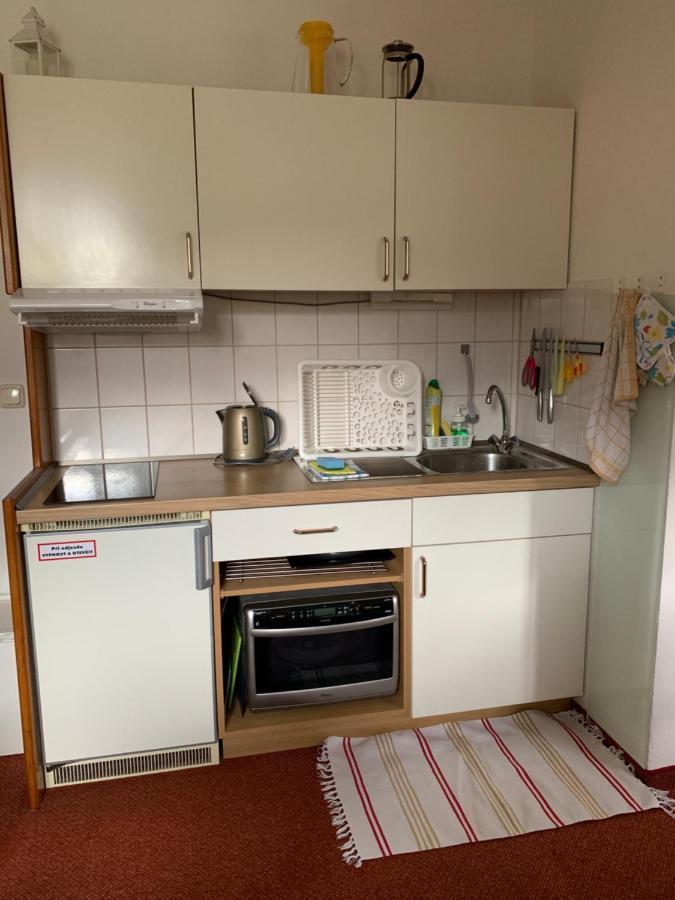 Apartman Viki Apartment Philippsreut Bagian luar foto